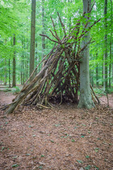 tree hut of branches in the forest 3