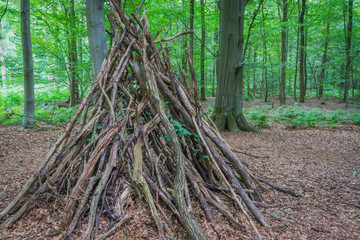 tree hut of branches in the forest 3