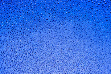 Drops of water on a colorful background