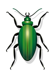 Green beetle - icon vector illustration on white background.