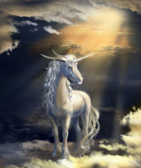 unicorn © Antracit