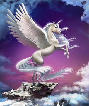 Fototapeta unicorn