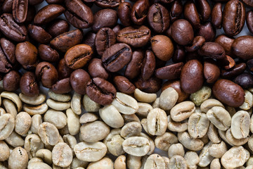 Coffee beans roasted and unroasted