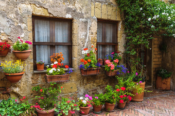Fototapeta na wymiar Flower filled streets of the old Italian city in Tuscany.