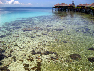 Bungalow on the reef and underwater beach
