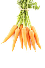 Fresh carrots isolated on a white background