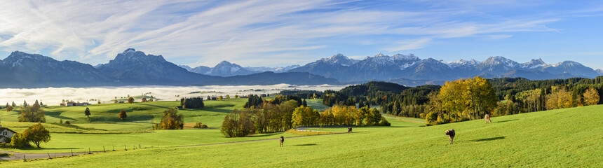 Herbstlandschaft mit Nebeldecke im Allgäu