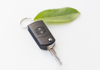 close up of car key and green leaf