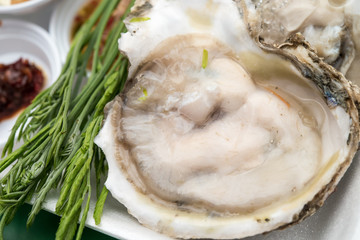 oyster