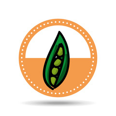 food nature healthy vegetables