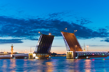 Fototapeta na wymiar Night St .Petersburg, Russia , Palace Bridge and Peter and Paul Fortress