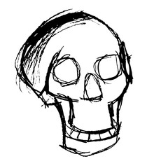 Illustration of skull 