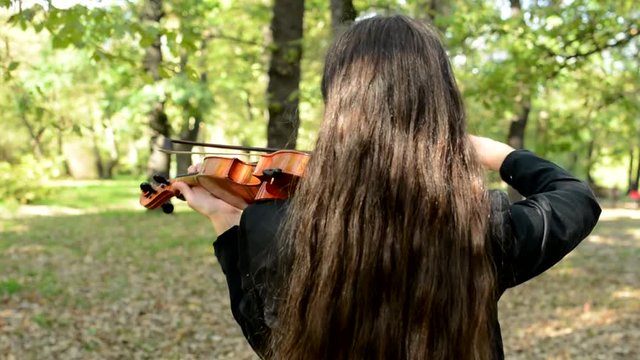 young attractive woman play on the violin in the park - view of her back - long hair