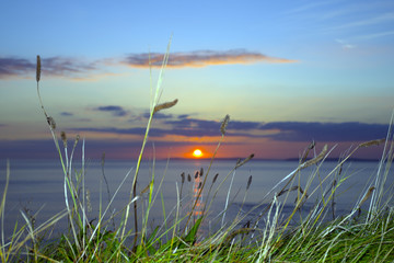 sunset over clare with wild thistles