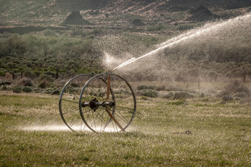 Irrigations Sprayer On Wheels On Farm