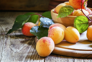Fresh apricots, selective focus