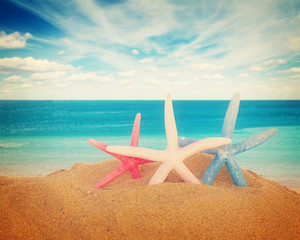 Fototapeta na wymiar three pink, red and blue starfish in sand by sea shore, retro toned