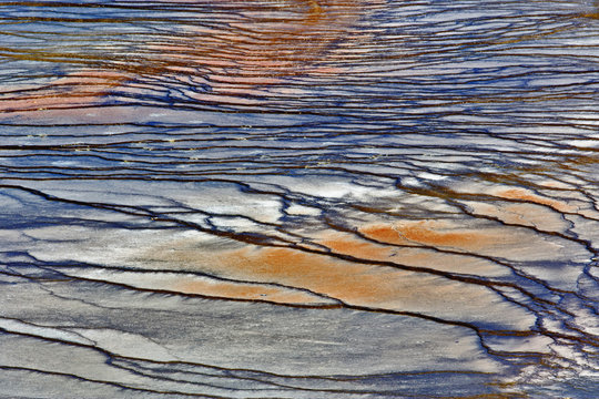 Pattern in bacterial mat around perimeter of Grand Prismatic Spring, Midway Geyser Basin, Yellowstone National Park, Wyoming.  Noted as the largest hot spring in the U.S. and third largest in the world.