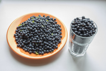 лесная черника