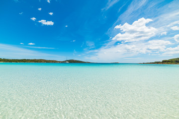 clear water in Cala Brandinchi
