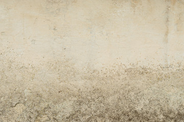 Wall fragment with scratches and cracks 