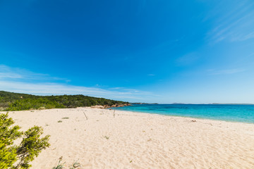 Fototapeta na wymiar Liscia Ruja beach on a clear day