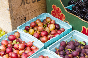 Fresh gooseberries on display at a local market