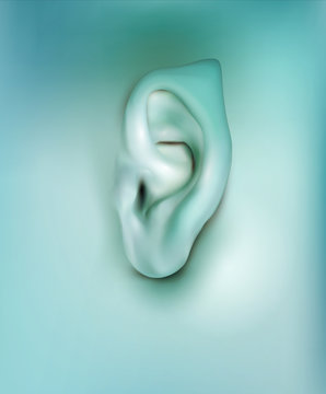 vector background with realistic ear elf