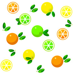 Vector seamless pattern background with citrus fruits: orange, lime and lemon on white background 