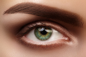 Beautiful macro shot of green female eye with natural makeup. Perfect shape of eyebrows, brown...