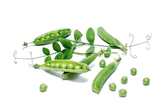 Pods of green peas with leaves isolated on white