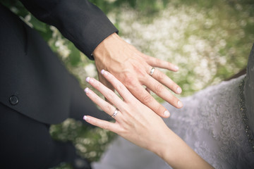 Obraz na płótnie Canvas Wedding couple hands with rings