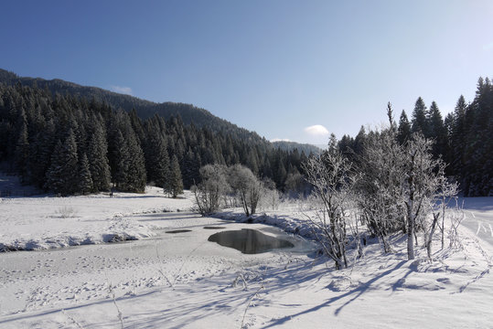 Winter am Spitzing.