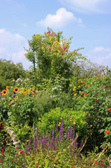 Fototapeta na wymiar Garten von Claude Monet in Giverny