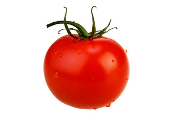 Ripe tomato isolated