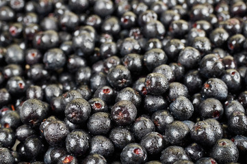 A pile of chokeberry fruits. Fruit background