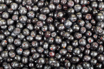 A pile of chokeberry fruits. Fruit background