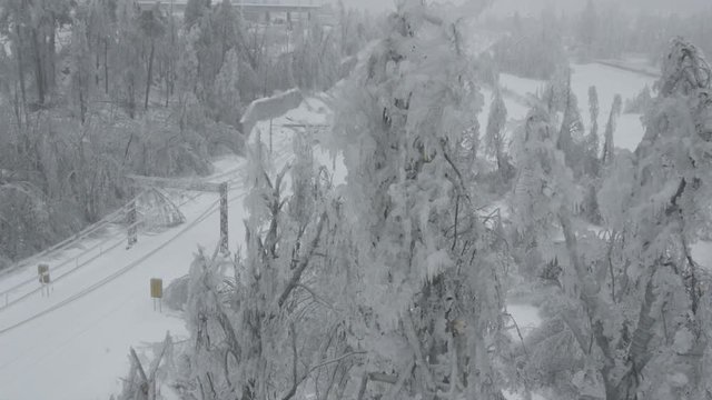 AERIAL: Flying over the frozen trees