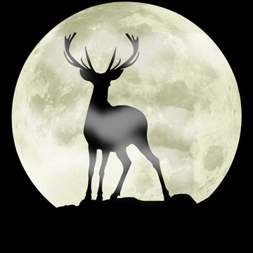 Black silhouette of a deer in front of the moon. Hunting illustration 