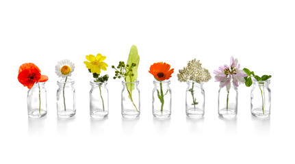 Different healing flowers in small glass bottles on white background