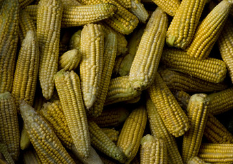 Bali Market Goods, Corn on the Cob. The local morning markets in Bali feature a varied mix of vegetables, fruit and meat. Women often arrive before daylight. Here are peppers and peppercorns.