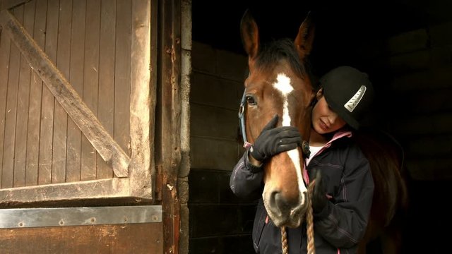 Pretty brunette with horse in stable