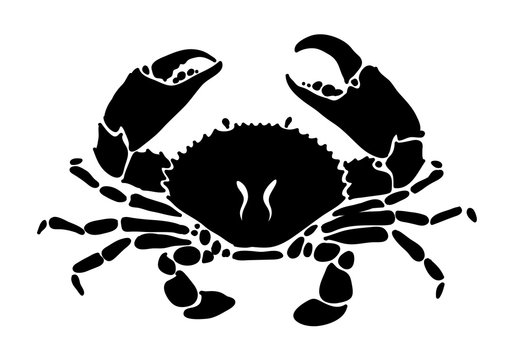 black crab, vector