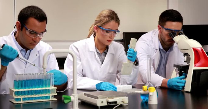 Young scientists working together in the lab in high quality 4k format
