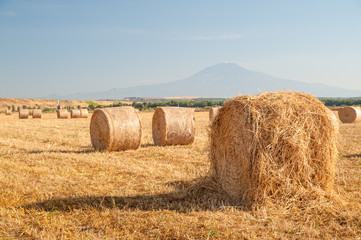 Plakat Straw bales in the plain of Catania, Sicily, and Mount Etna in the background