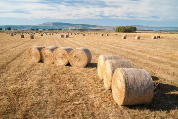 Straw bales in the plain of Catania, Sicily
