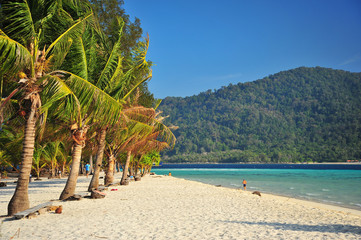 Beach on Tropical Islands at Summer Season