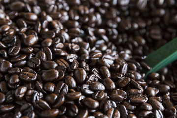 コーヒー豆