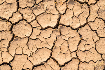 Cracked earth on dry season for texture and background