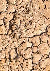 Cracked earth on dry season for texture and background